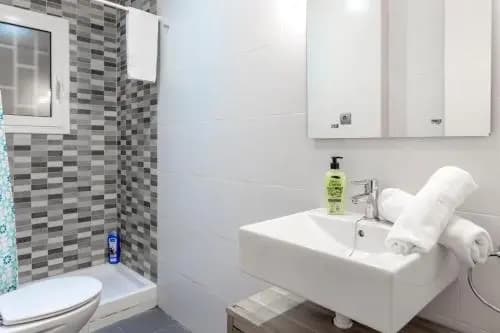 Autèntic Arc de Triomf Apartment - photo 6