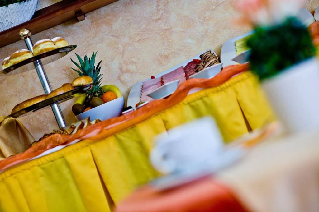 Hotel Melantrich - photo 9
