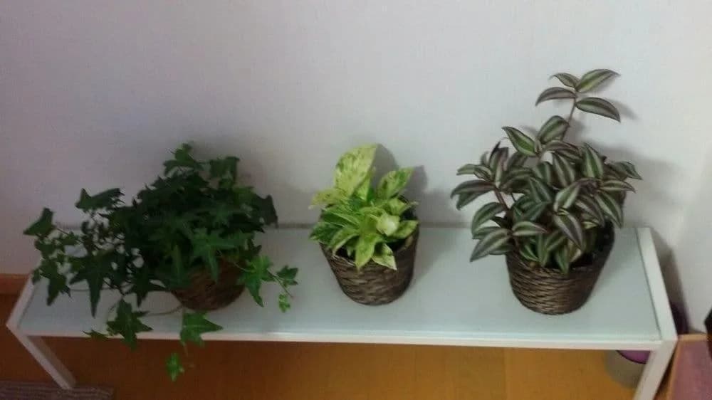 Yoko's House – Hostel - main photo