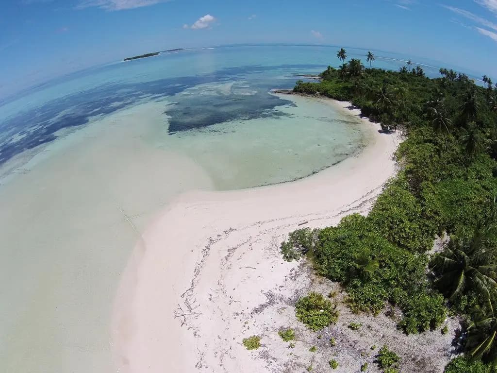 Pearl Beach View - photo 9