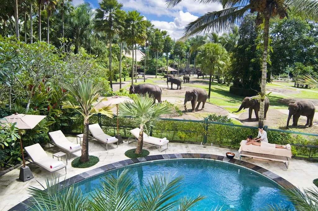 Mason Elephant Lodge - photo 11