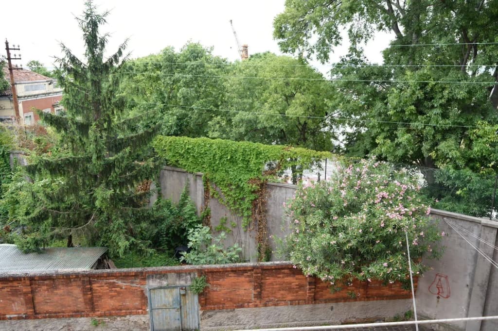 Casa Minestra - photo 1