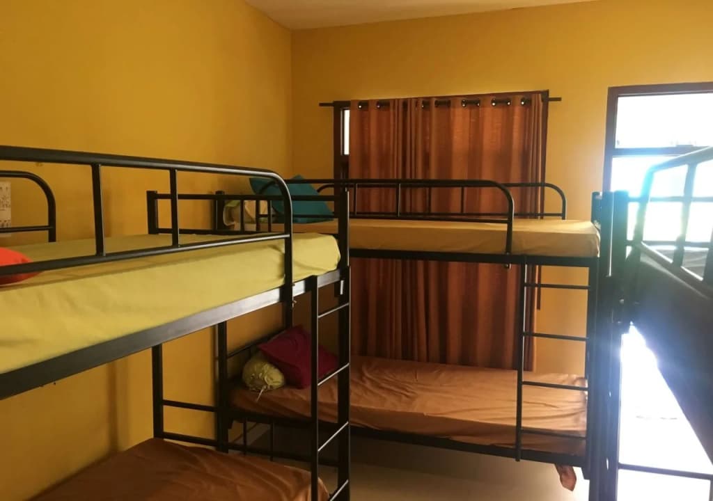 Cheeky Piggy Hostel - main photo