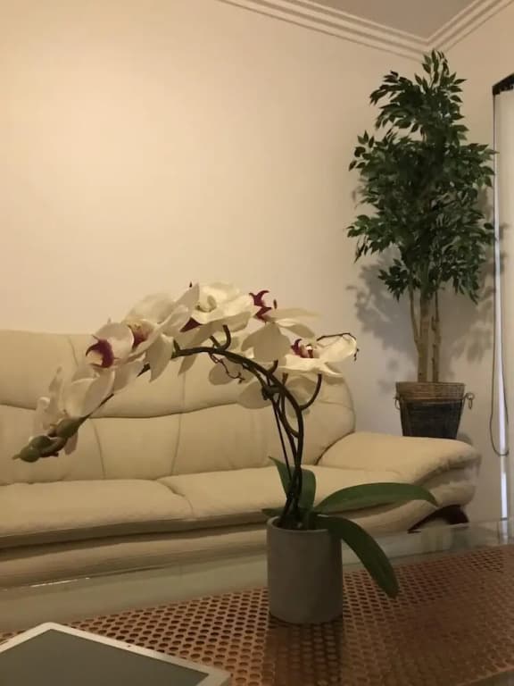 Sydney Premium Accomodations - Central - photo 10
