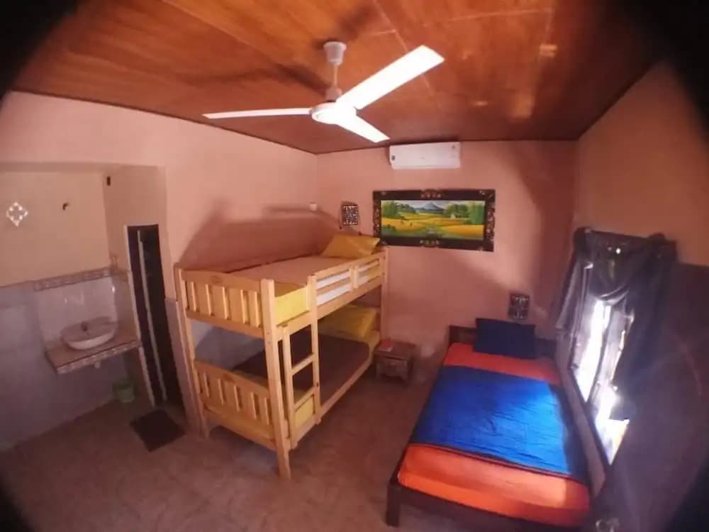 Amel Homestay - photo 12