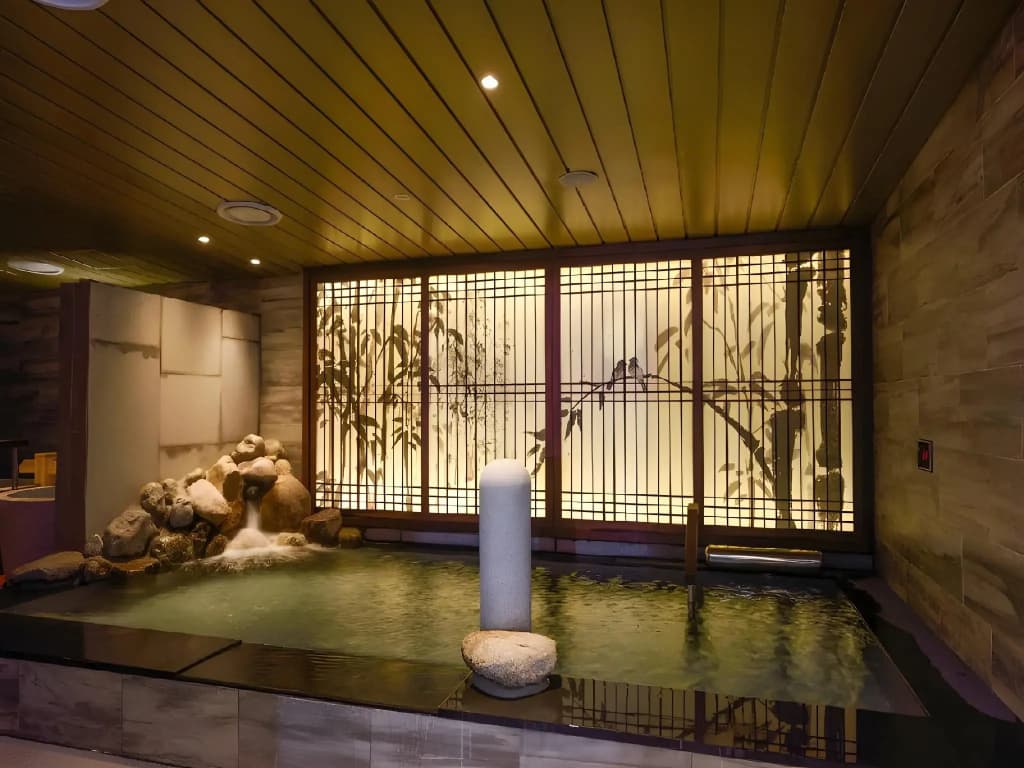 Dormy Inn SEOUL Gangnam - photo 20