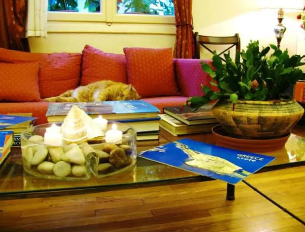 Art Gallery Hotel - photo 11