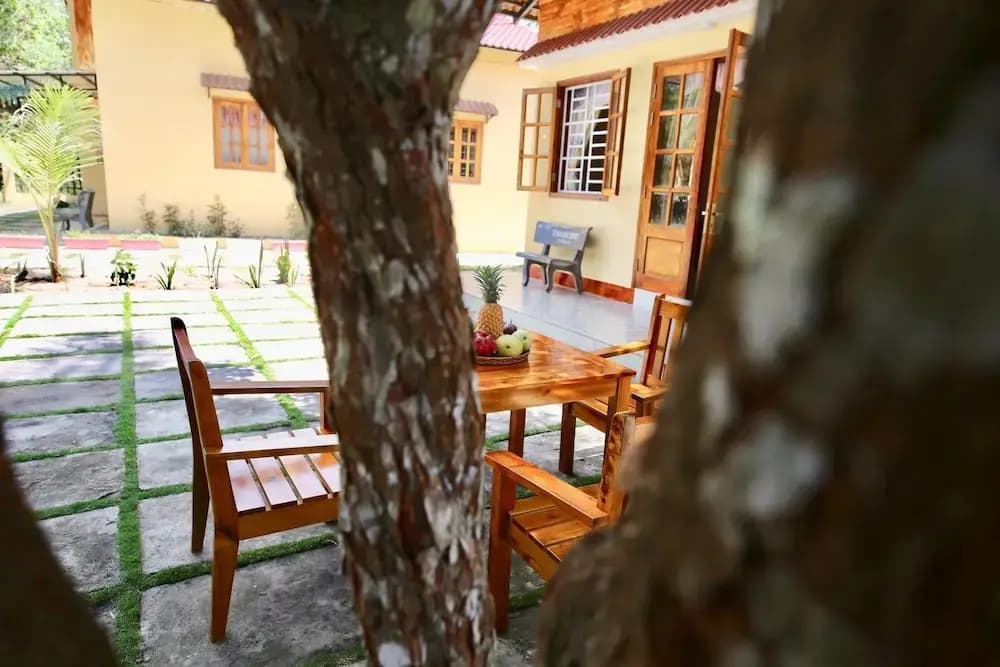 Yanns House - photo 11