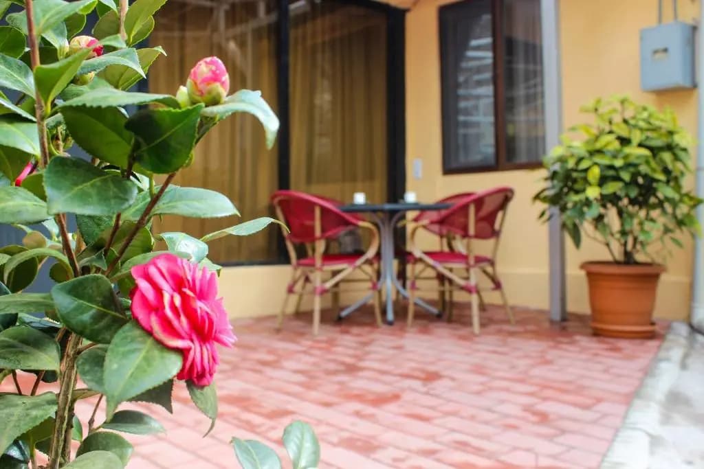 Lasha Apartment - photo 7
