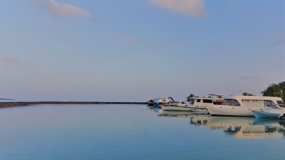 Explore Island Inn - photo 12