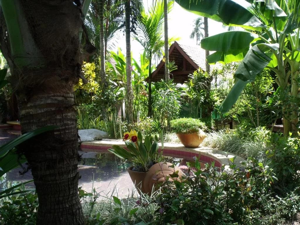 Noble Crown Resort & Spa - photo 6