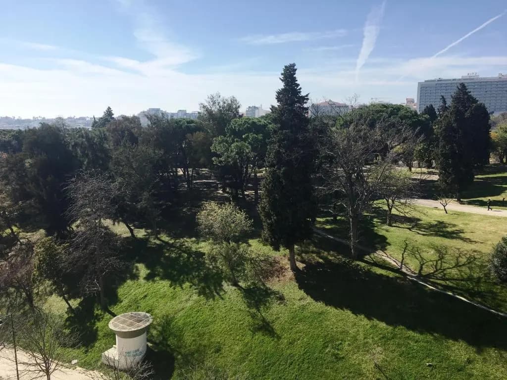 Hotel Miraparque - photo 22