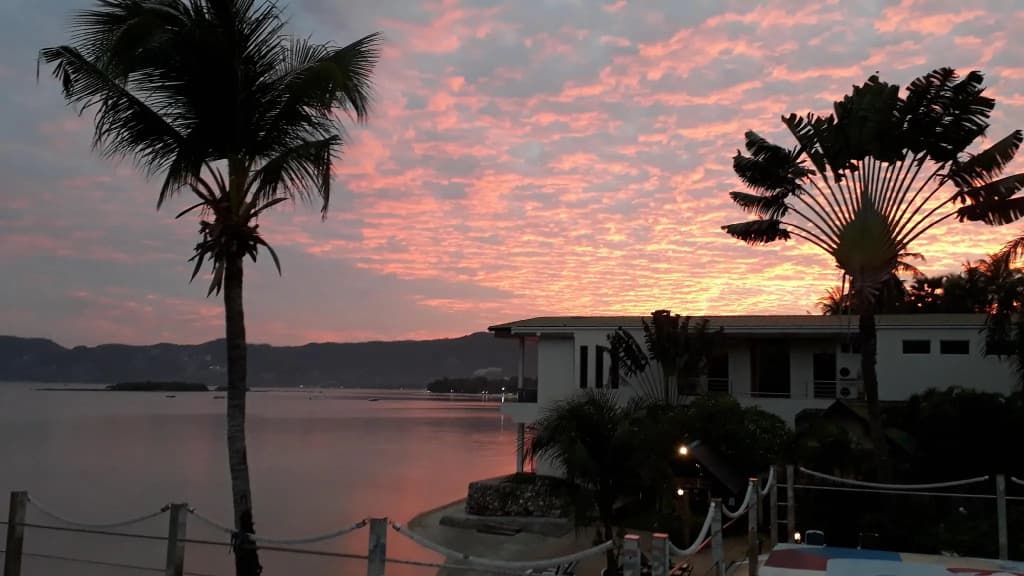 Papillon Resort - photo 21