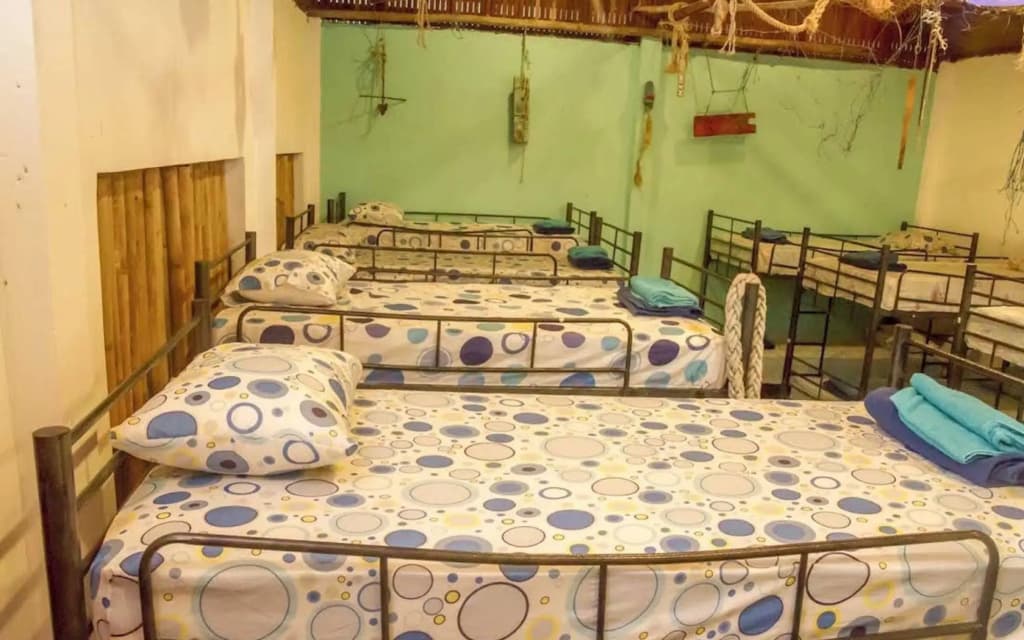 Dancing Elephant Beach Club - Hostel - photo 2