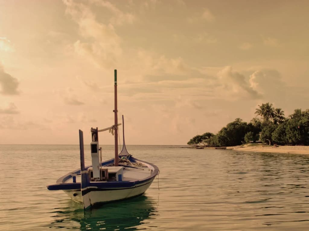 Thundi Sea View - photo 33