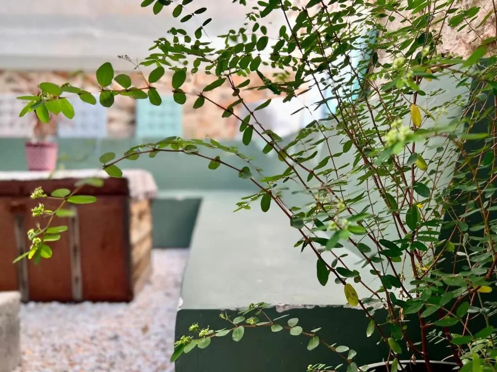 Five Brand New Boutique Apartments Central Athens - photo 9