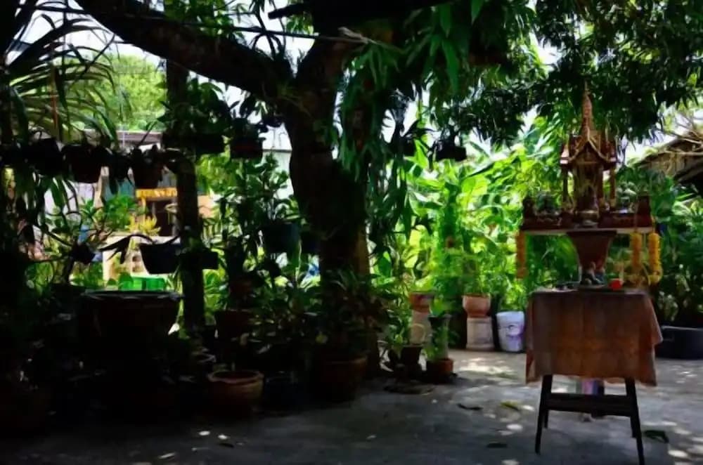 Ban To Guesthouse - photo 11