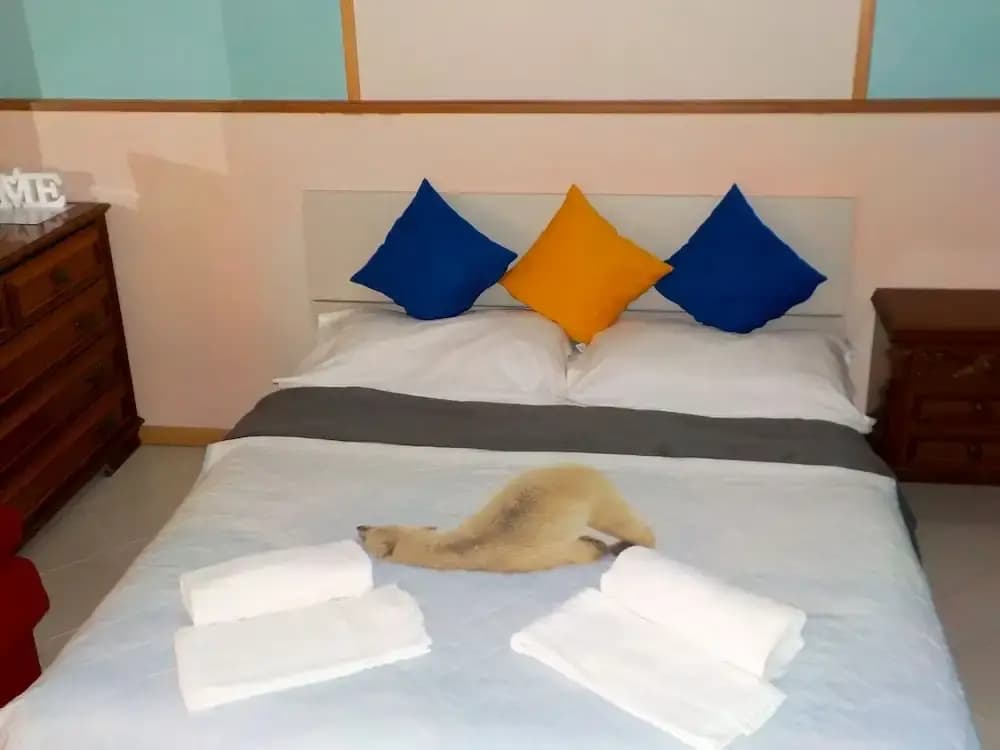 Tourist House - photo 13