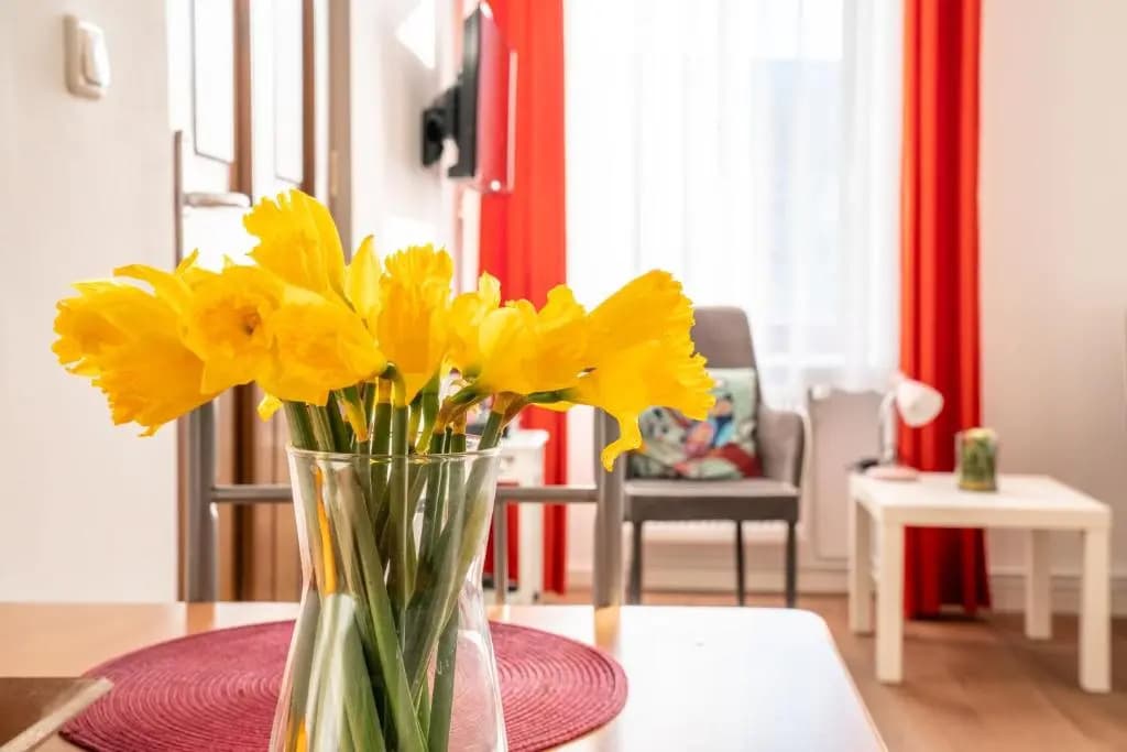 City Studio Apartment for 2, near Sonnenallee - main photo