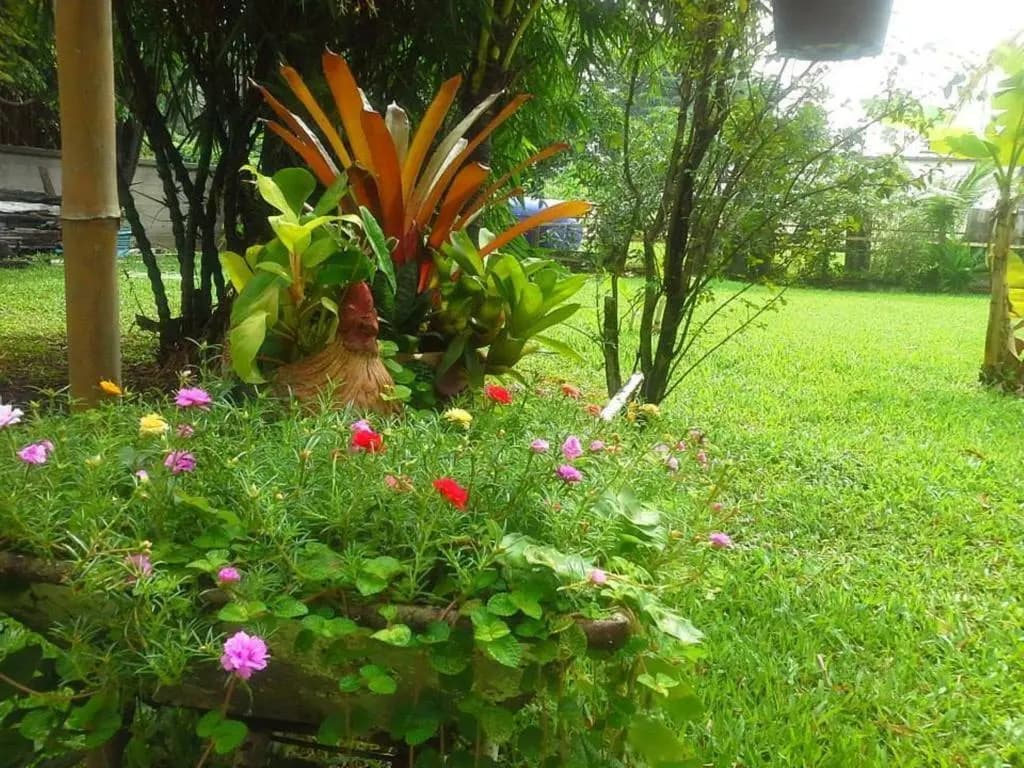 Garden Room Hostel - photo 3