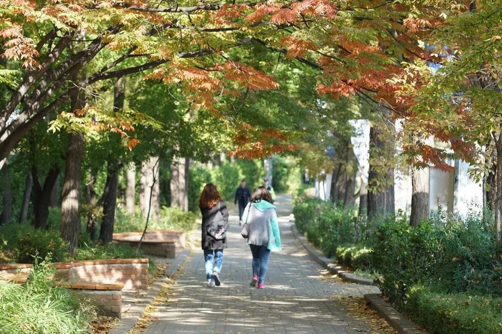 Eden Guest House Itaewon Seoul - photo 13