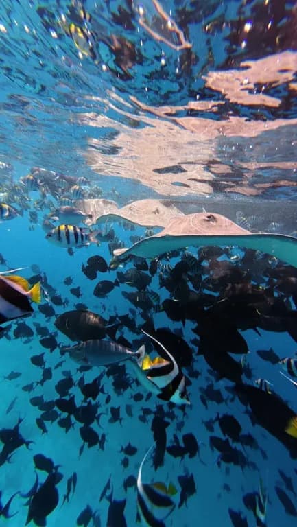 YUVi blue maldives - photo 2