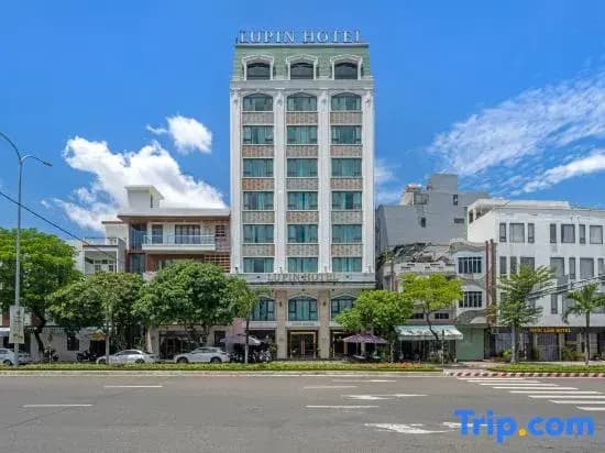 Lupin Boutique Hotel Danang - photo 9