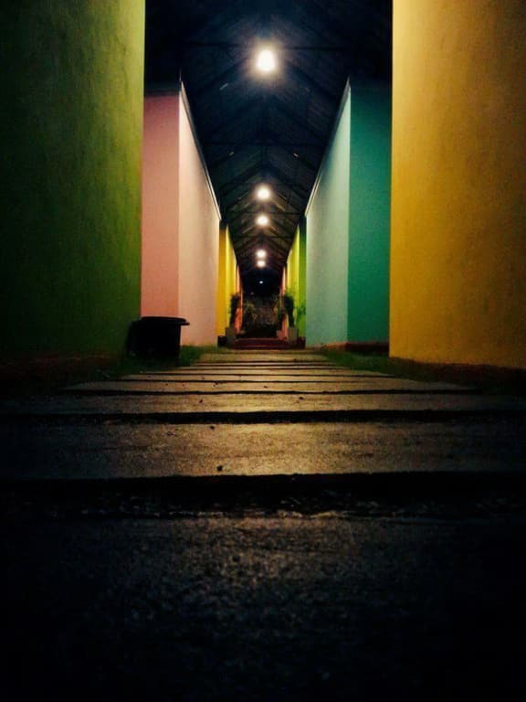 The Cozy - photo 23