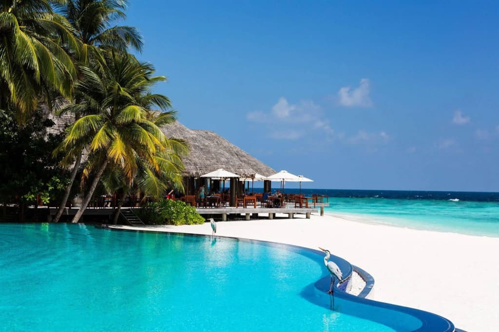 Veligandu Maldives Resort Island Resort - photo 20