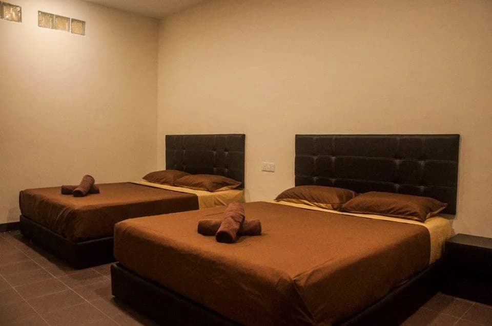 Cosy D Accommodation - photo 3