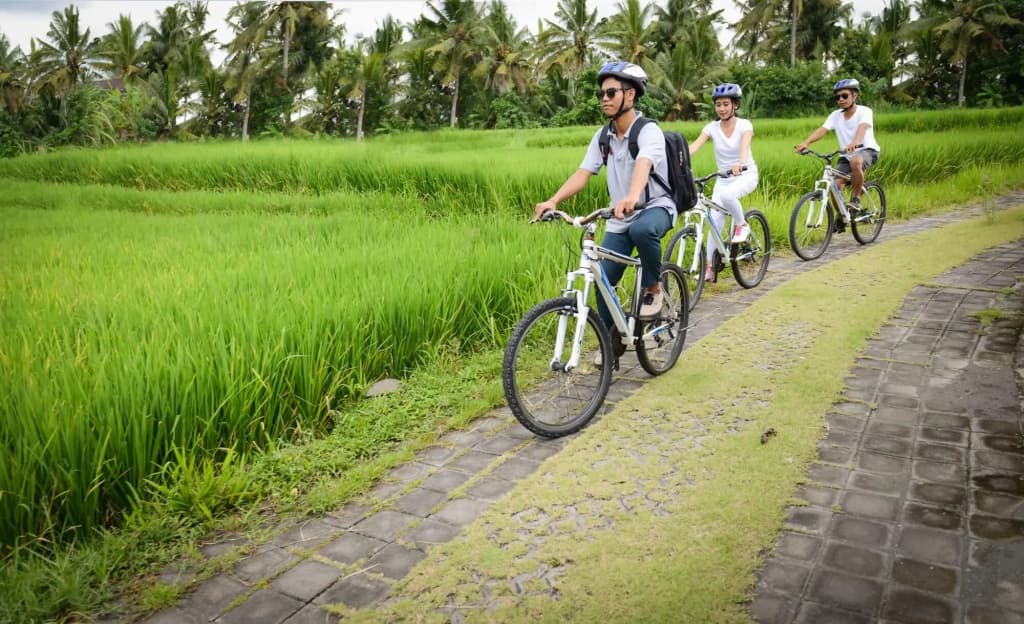 Purana Suite Ubud - photo 20