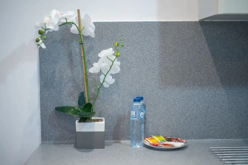 Prime Studio Stay in Barsha Heights - photo 27