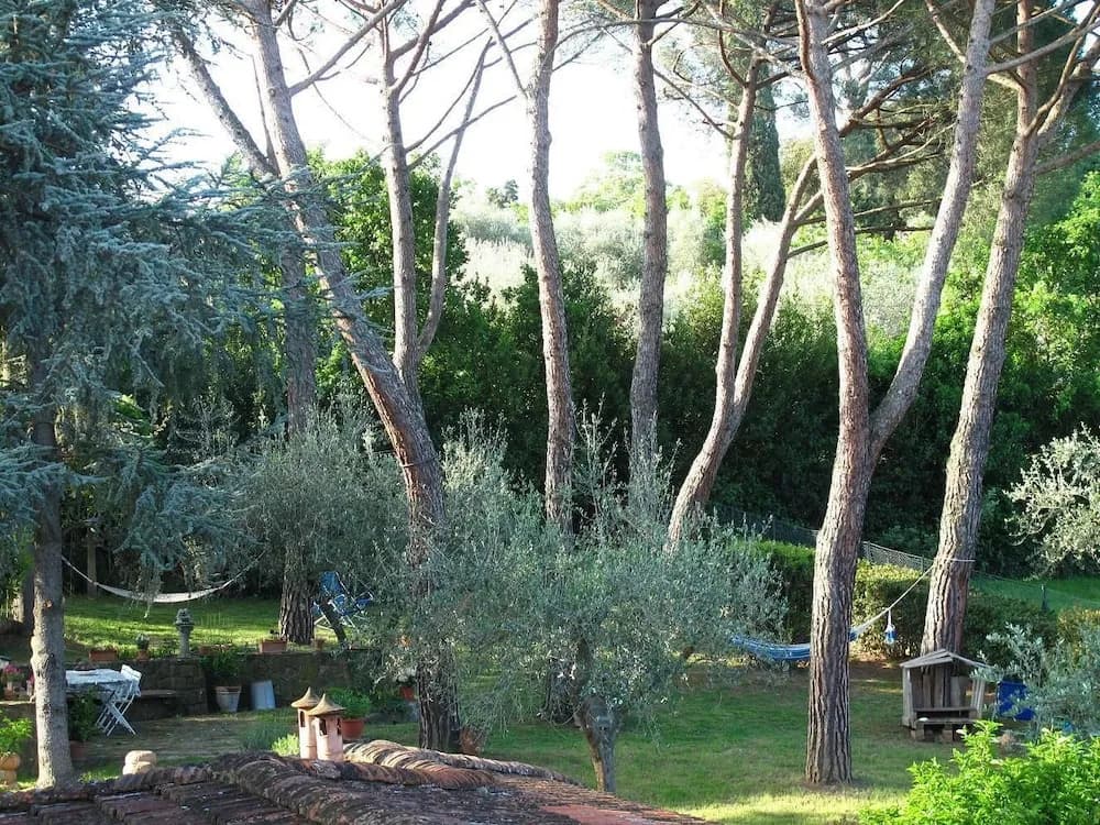 Fiorenza - photo 13