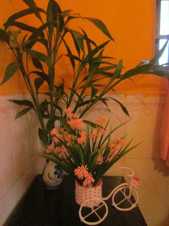 Eco-Home - photo 10