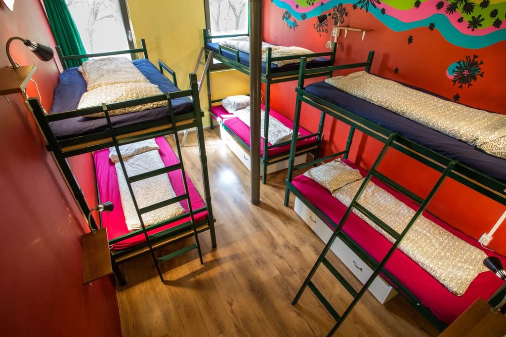 Island Hostel - Adults only - photo 4