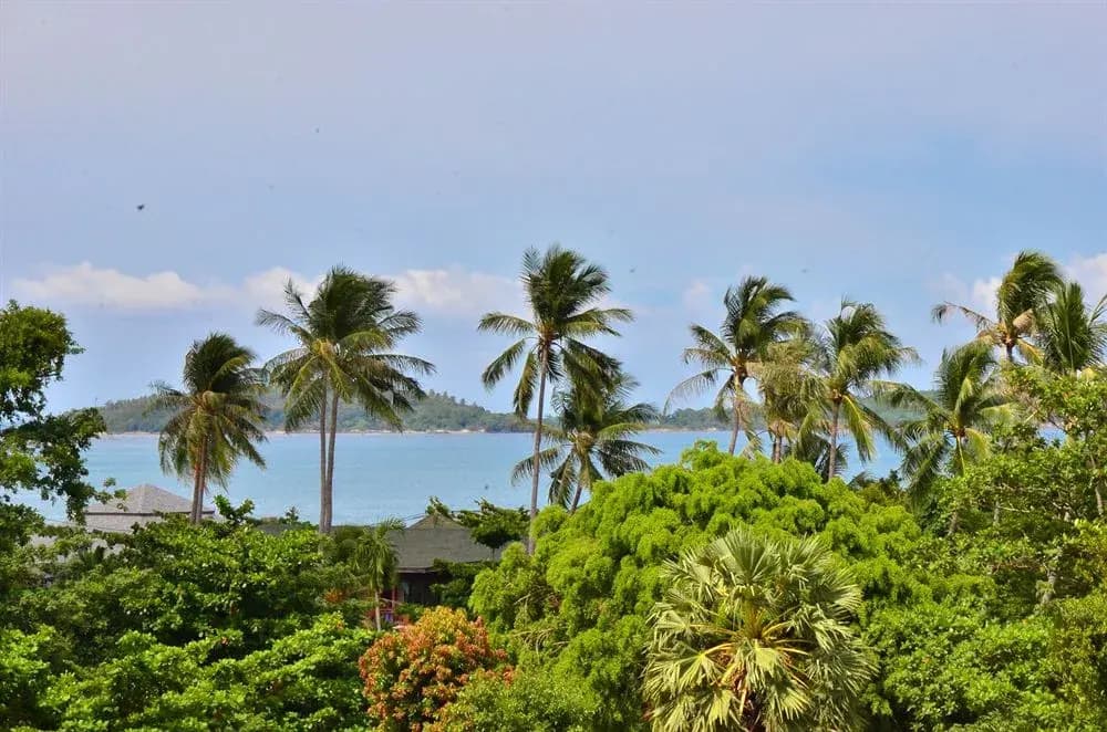 First Bungalow - photo 17