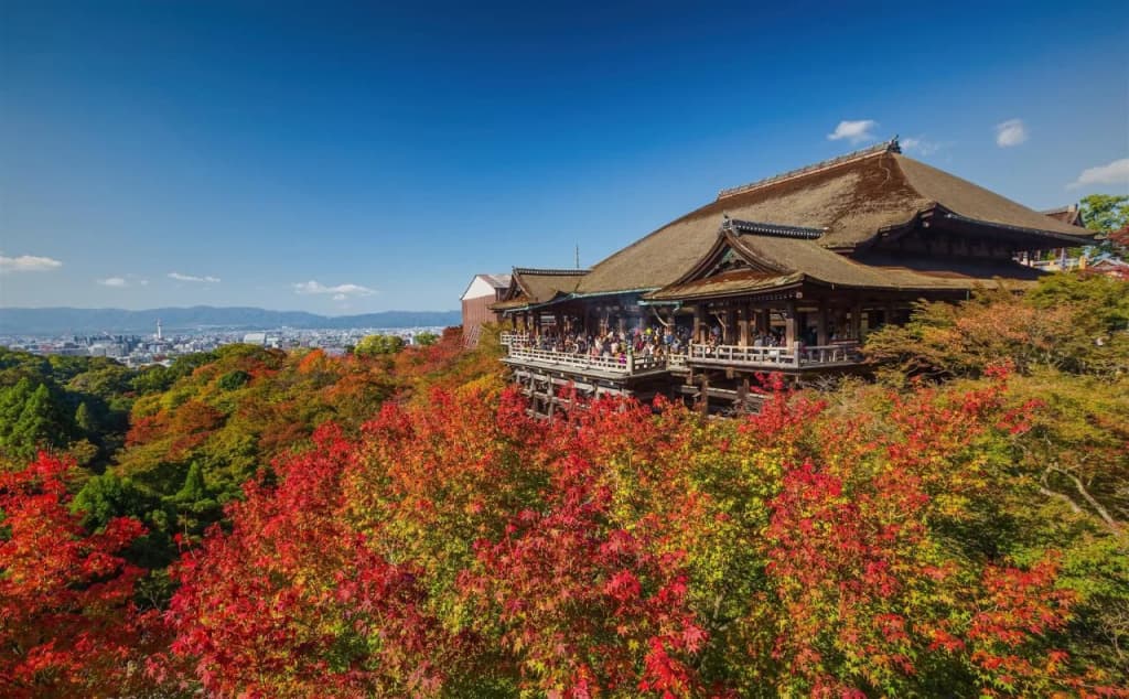 Yadoya-Dejavu - photo 26