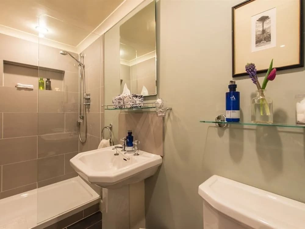 The Guest Room - photo 23