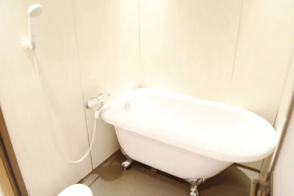 Ueno Lucky Homes - photo 21