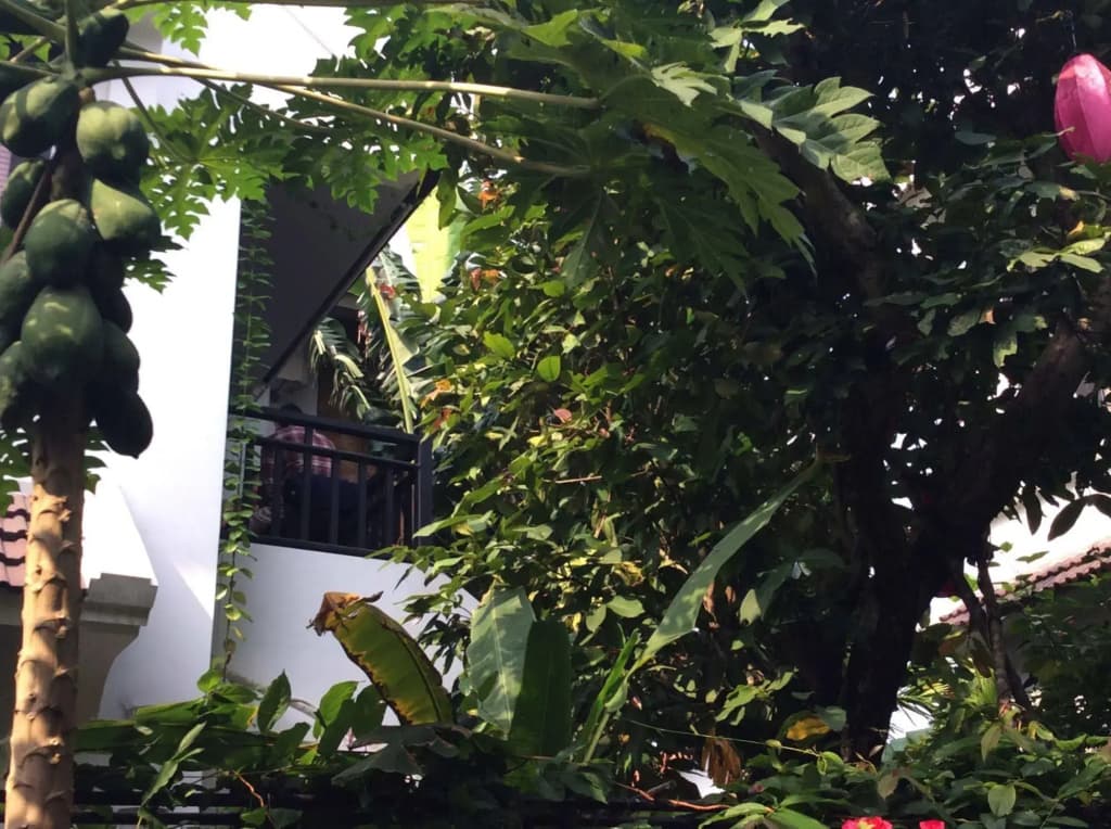 East West Villa - photo 23