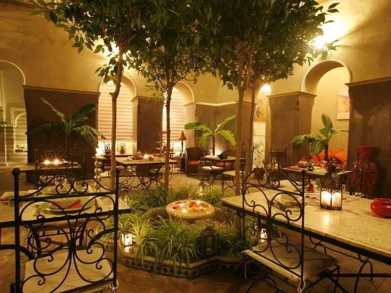 Riad Arocha - photo 15