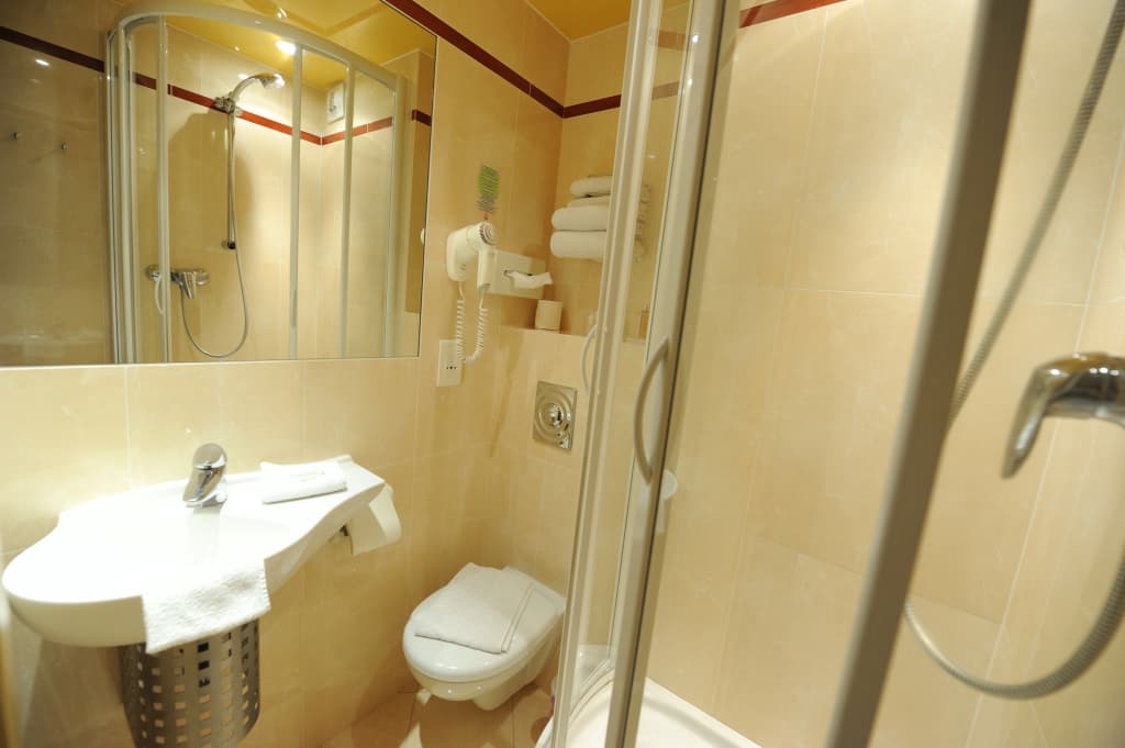 Hotel du Vieux Saule - photo 9