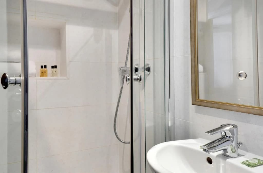 Hotel Le Senat - photo 10