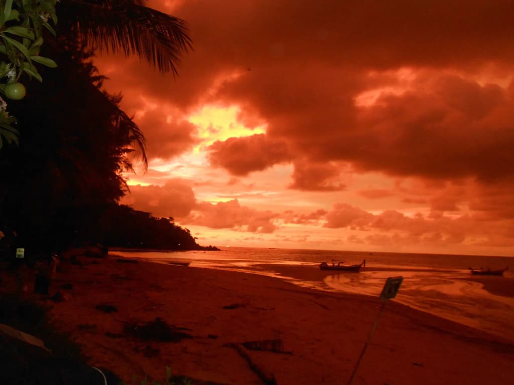 Kamala Dreams - photo 19