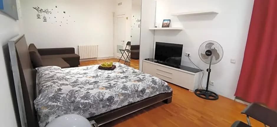 Nuevo Arag¿ Habitaciones - photo 3