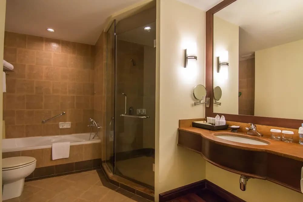 Angkor Palace Suite & Villa - photo 9