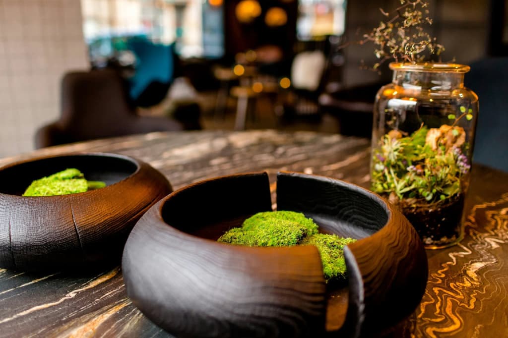 Motel One Edinburgh-Royal - photo 35