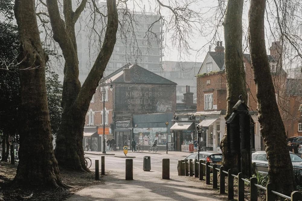 Mason and Fifth - Belsize Park - photo 13