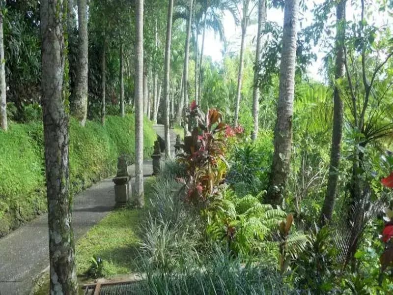 Villa Prana Shanti - photo 15