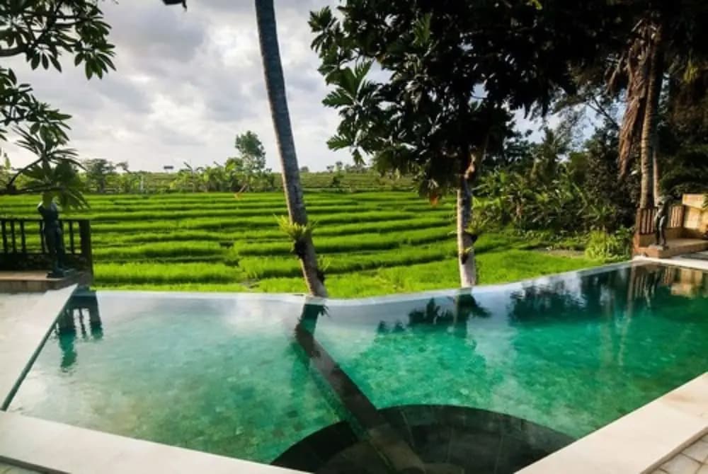 Lavillabali Rice Fields Terrace Canggu - photo 11